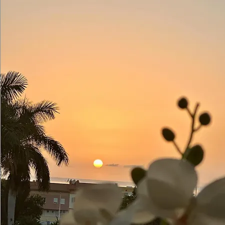 דירה Tenerife Holidays אדחה