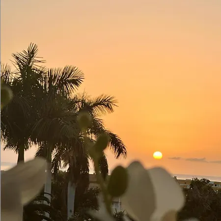 דירה Tenerife Holidays *