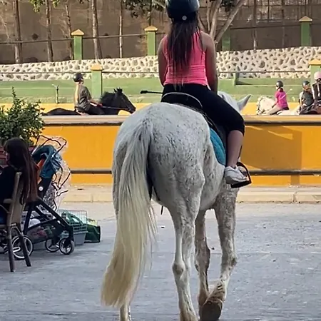 Tenerife Holidays דירה