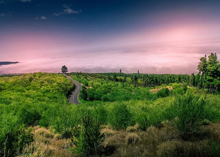 Appartement Tenerife Holidays