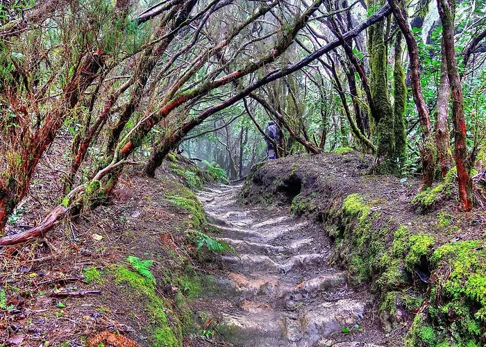 Tenerife Holidays * Адехе