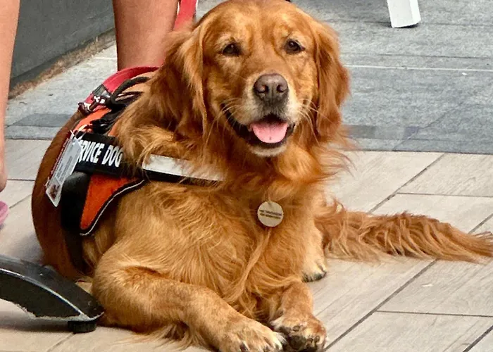 Tenerife Holidays * Costa Adeje (Tenerife)