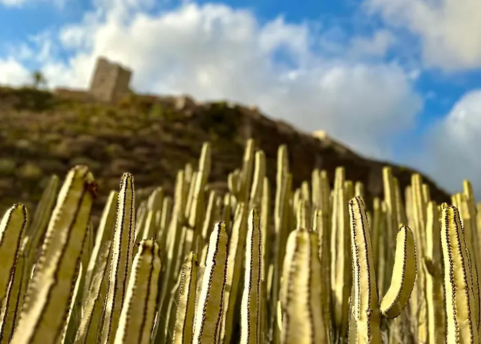 Tenerife Holidays Апартаменти *