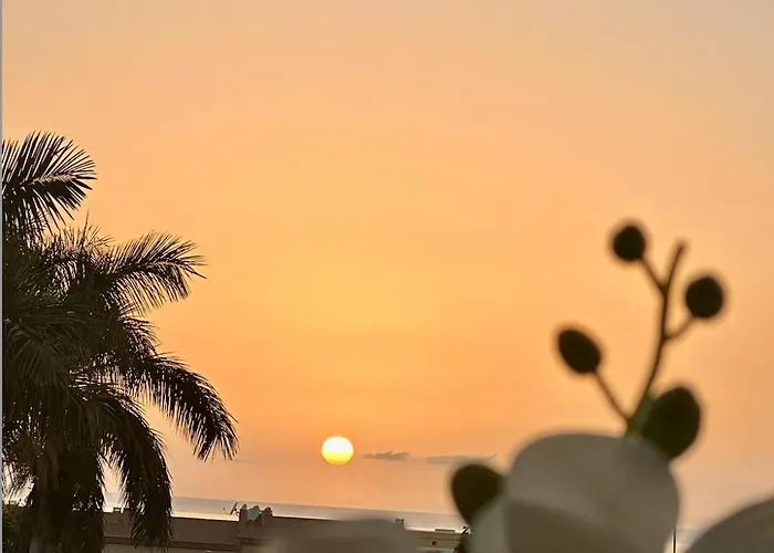 Appartement Tenerife Holidays Costa Adeje (Tenerife)