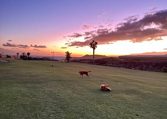 Апартаменти Tenerife Holidays