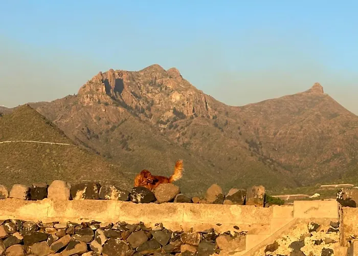 Апартаменти Tenerife Holidays