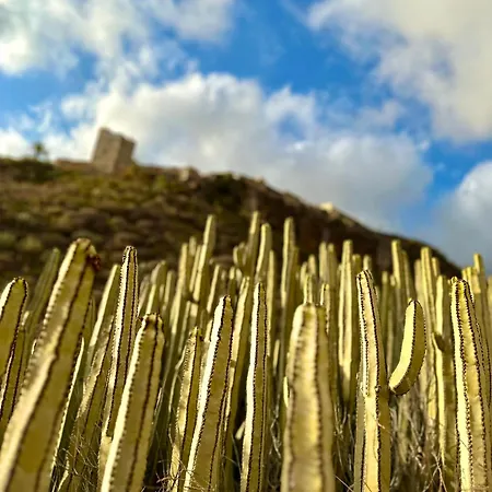 Tenerife Holidays 아파트 *