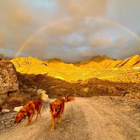 아파트 Tenerife Holidays *