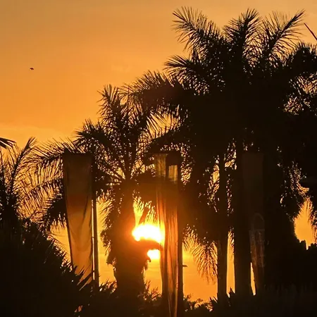 Tenerife Holidays 公寓 阿德耶