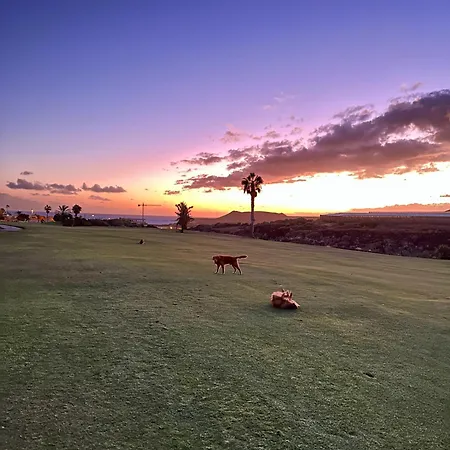 아파트 Tenerife Holidays