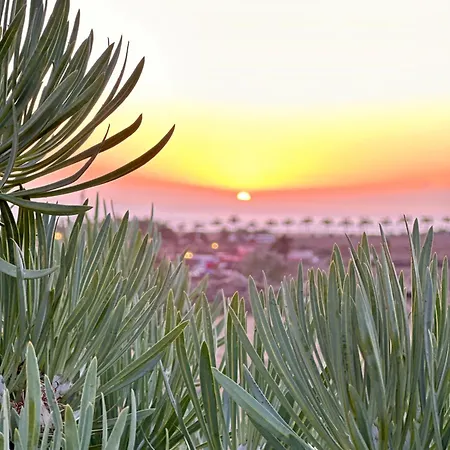 Tenerife Holidays 阿德耶