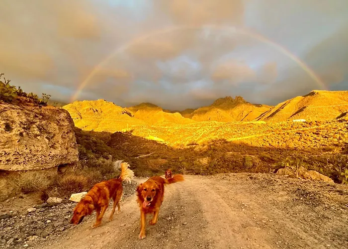 Apartmán Tenerife Holidays *
