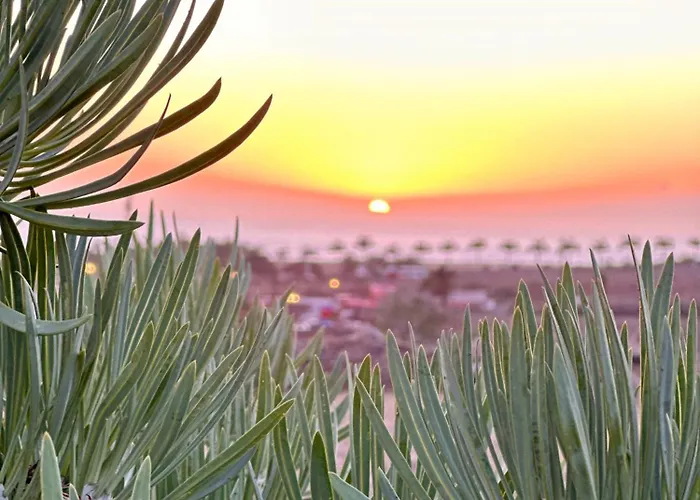 Tenerife Holidays Costa Adeje (Tenerife)