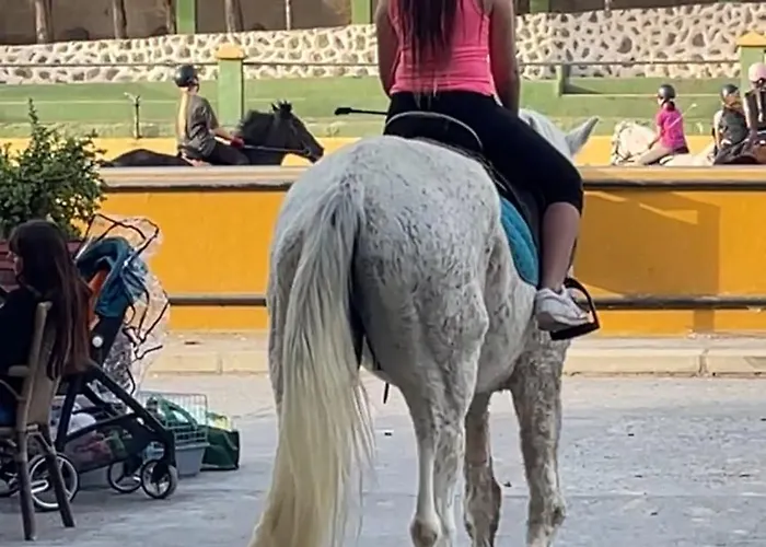 Tenerife Holidays Apartment