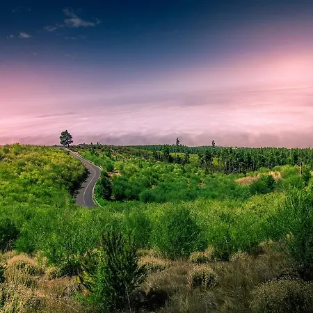 Daire Tenerife Holidays