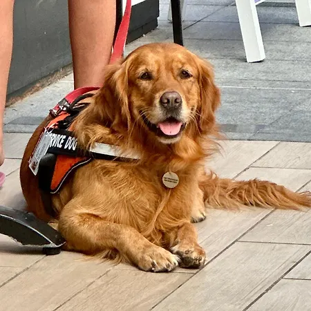 Tenerife Holidays * Costa Adeje