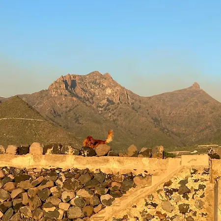 Daire Tenerife Holidays